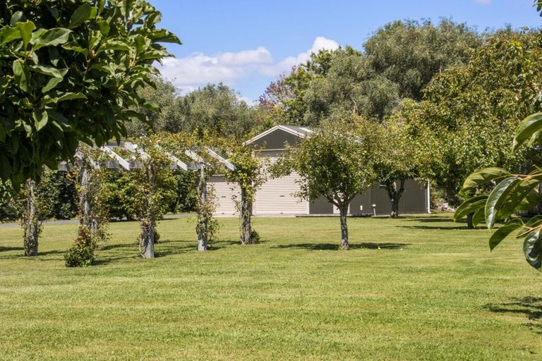 Photo of property in 356 Tuapiro Road, Tahawai, Katikati, 3170