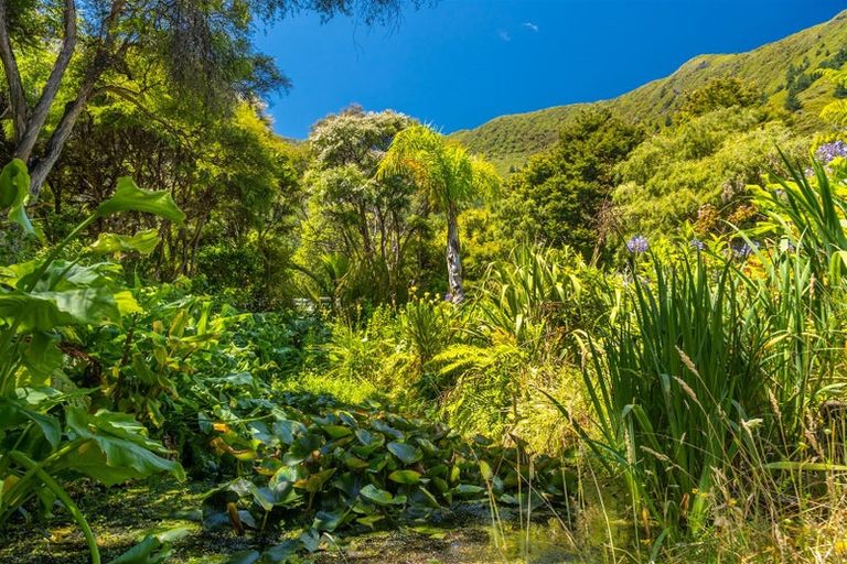 Photo of property in 516 Clova Bay Road, Totaranui, Picton, 7282