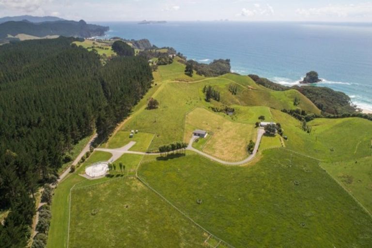 Photo of property in 162d Whitipirorua Road, Onemana, Whangamata, 3691