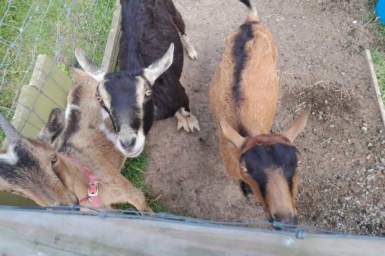 Photo of property in 7 James Road, Maungaturoto, 0587