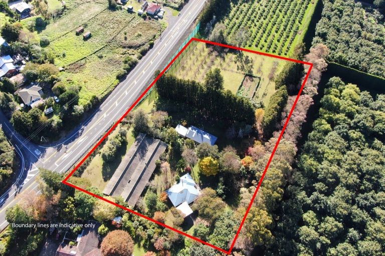 Photo of property in 664 State Highway 2, Tahawai, Katikati, 3170