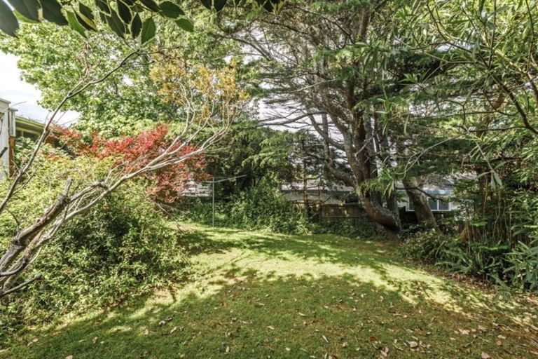 Photo of property in 156 Sunset Road, Unsworth Heights, Auckland, 0632