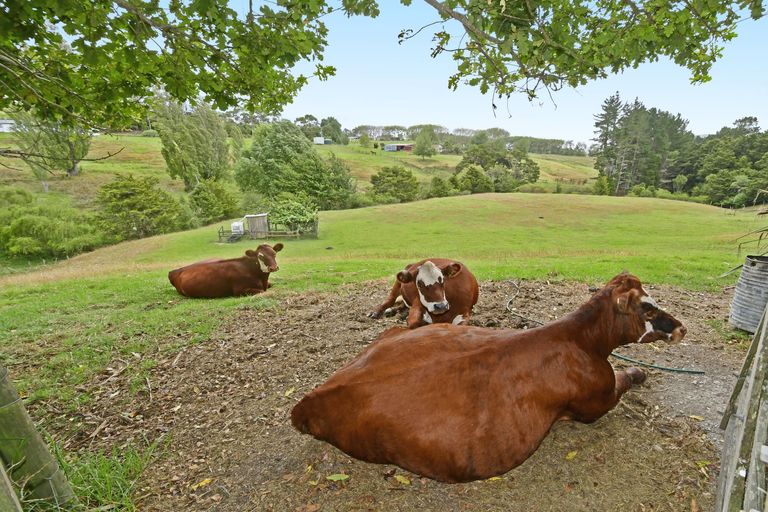 Photo of property in 87 Settlement Road, Kaiwaka, 0573