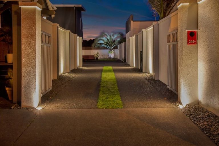 Photo of property in 244a Saint Aubyn Street, New Plymouth, 4310