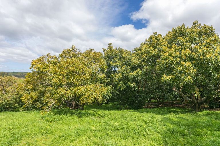 Photo of property in 231 Walford Road, Aongatete, Katikati, 3181