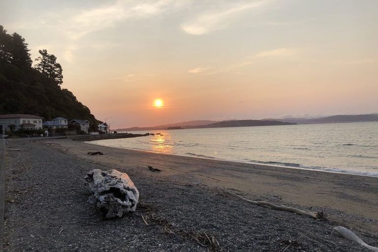 Photo of property in 616a Marine Drive, Days Bay, Lower Hutt, 5013