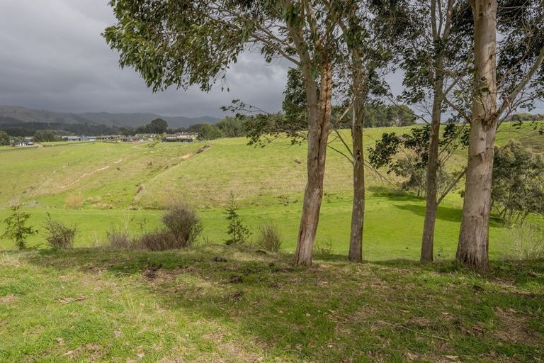 Photo of property in 91 Buckley Road, Shannon, Palmerston North, 4474