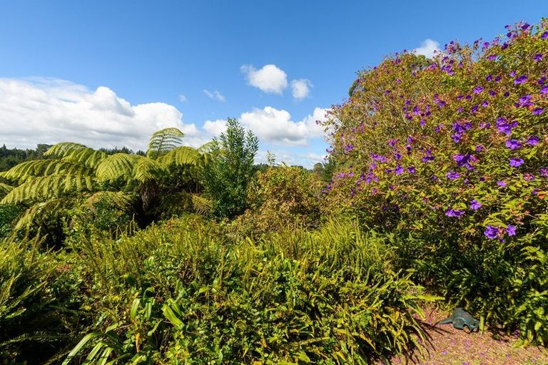 Photo of property in 45 Oropi Gorge Road, Pyes Pa, Tauranga, 3173