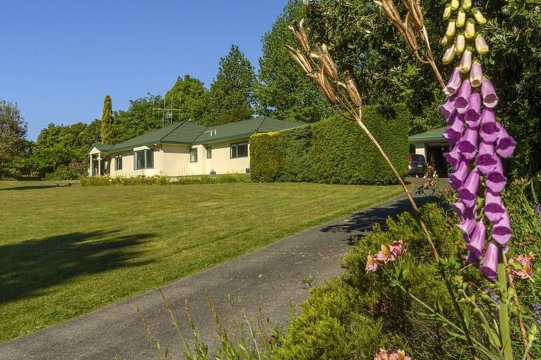 Photo of property in 56 Westridge Drive, Tauriko, Tauranga, 3110