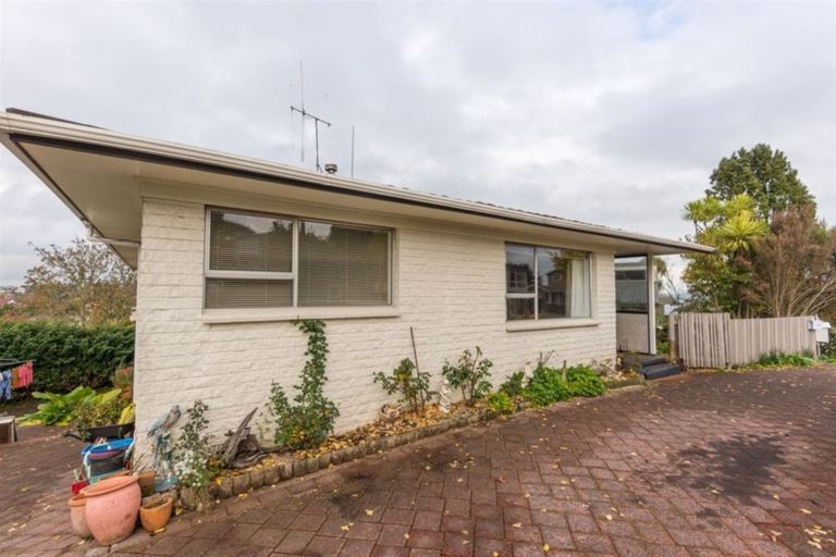 Photo of property in 441 Wallace Terrace, Te Awamutu, 3800