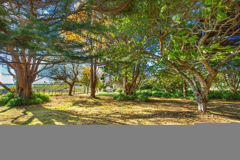 Photo of property in 1154 Te Akau Road South, Te Akau, Ngaruawahia, 3793