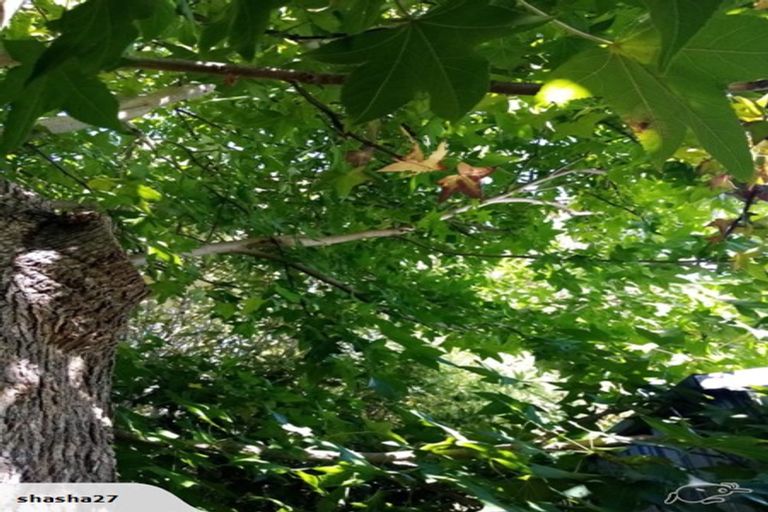 Photo of property in 8849 Paeroa Kopu Road, Puriri, Thames, 3578