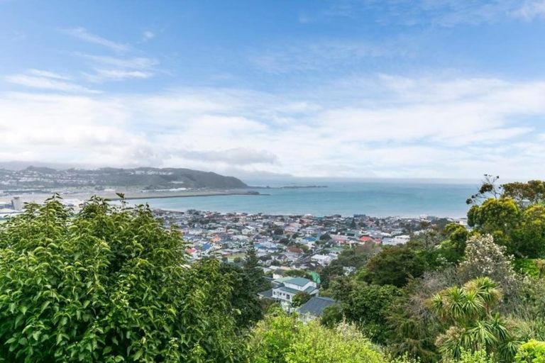 Photo of property in 97 Rodrigo Road, Melrose, Wellington, 6023