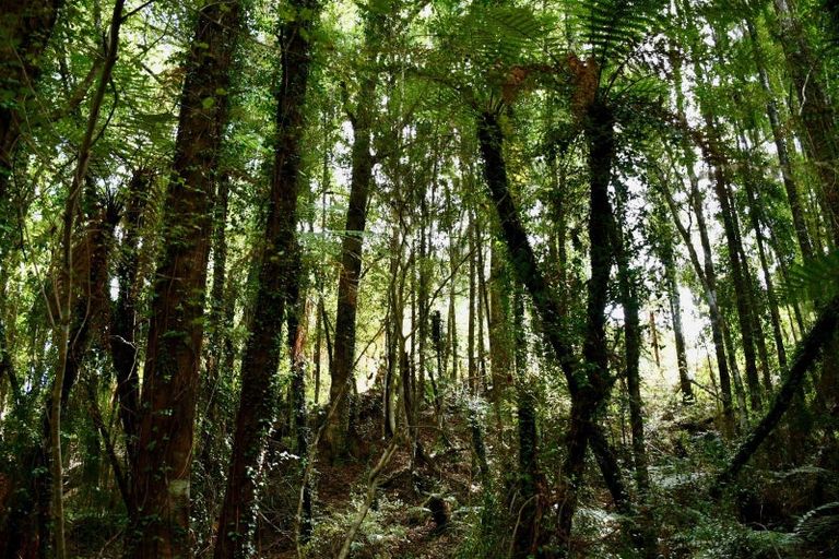 Photo of property in 70 Sunset Heights Road, Karamea, 7893