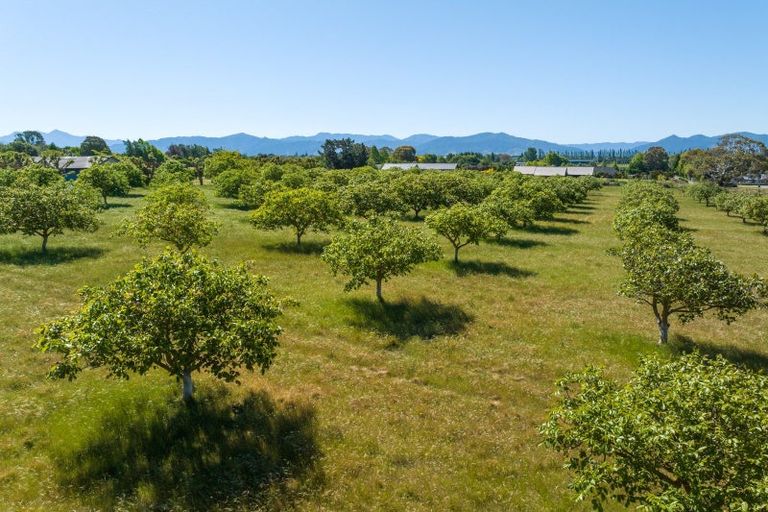 Photo of property in 187 Wither Road, Witherlea, Blenheim, 7201