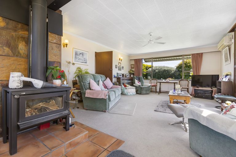 Photo of property in 37 Eureka Street, Alexandra, 9320