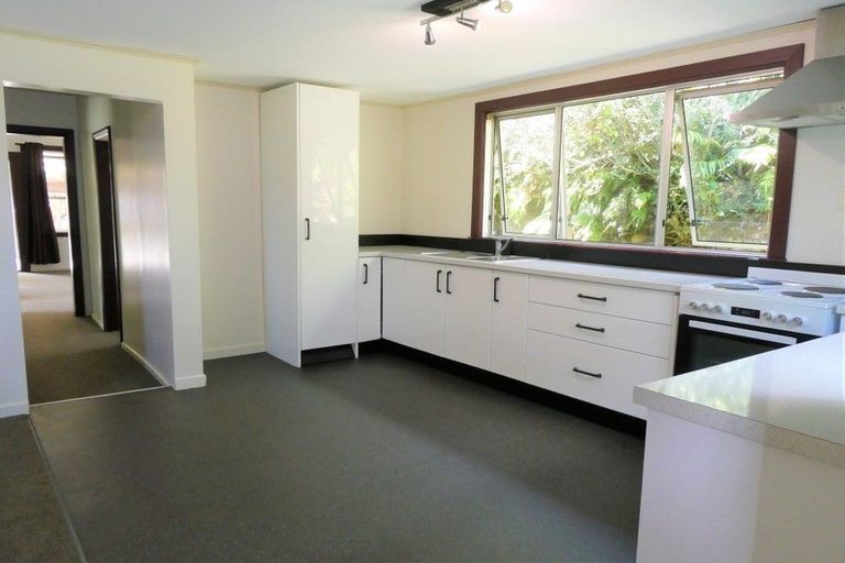 Photo of property in 1 Taupo Terrace, Dobson, Greymouth, 7805