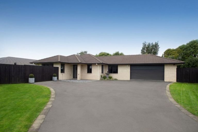 Photo of property in 50 Matipo Street, Matamata, 3400