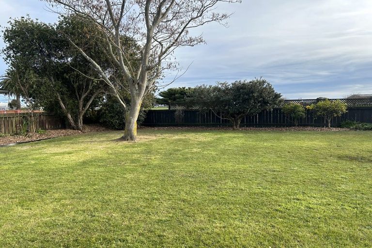 Photo of property in 460 Tremaine Avenue, Takaro, Palmerston North, 4410