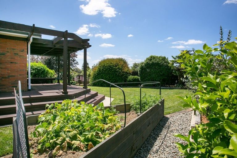 Photo of property in 11 Raleigh Street, Leamington, Cambridge, 3432