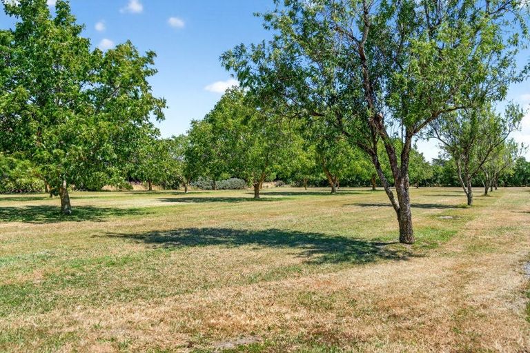 Photo of property in 277 Upper Plain Road, Upper Plain, Masterton, 5888