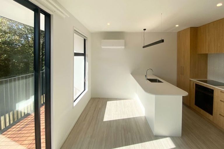 Photo of property in 1/55 Mathesons Road, Phillipstown, Christchurch, 8011