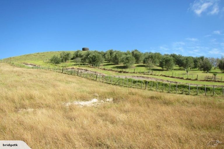 Photo of property in 289 Heatley Road, Whakapirau, 0583