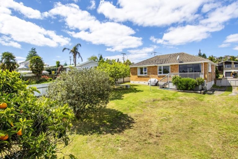 Photo of property in 375a Ngatai Road, Bellevue, Tauranga, 3110