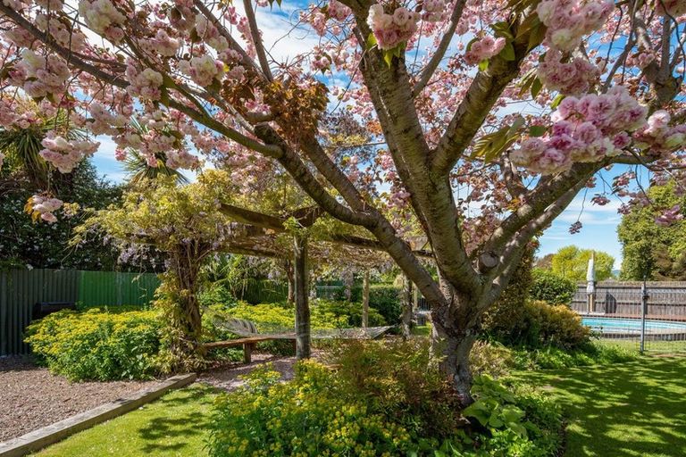 Photo of property in 23 Ward Street, Springlands, Blenheim, 7201