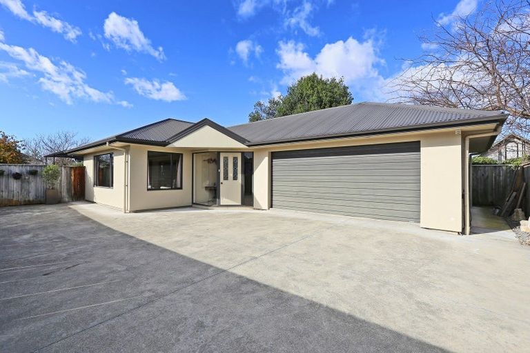 Photo of property in 807a Fitzroy Avenue, Mahora, Hastings, 4120