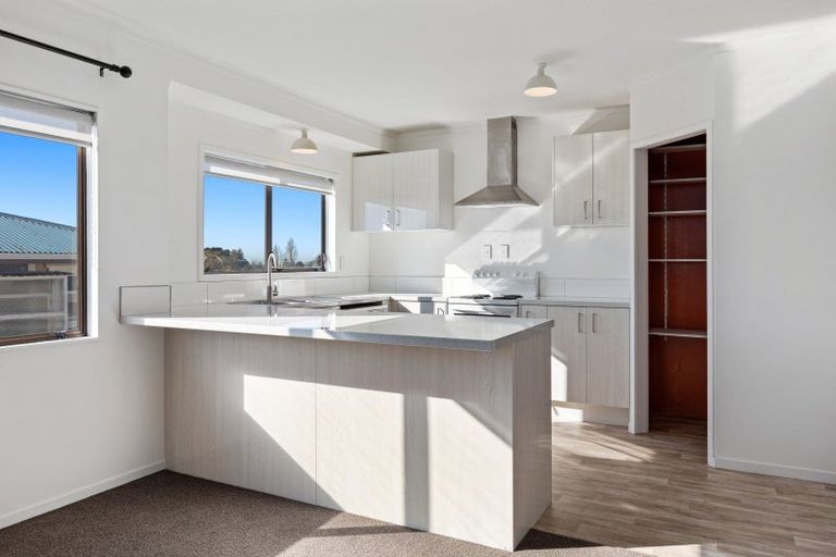 Photo of property in 8a Lincoln Terrace, Gate Pa, Tauranga, 3112