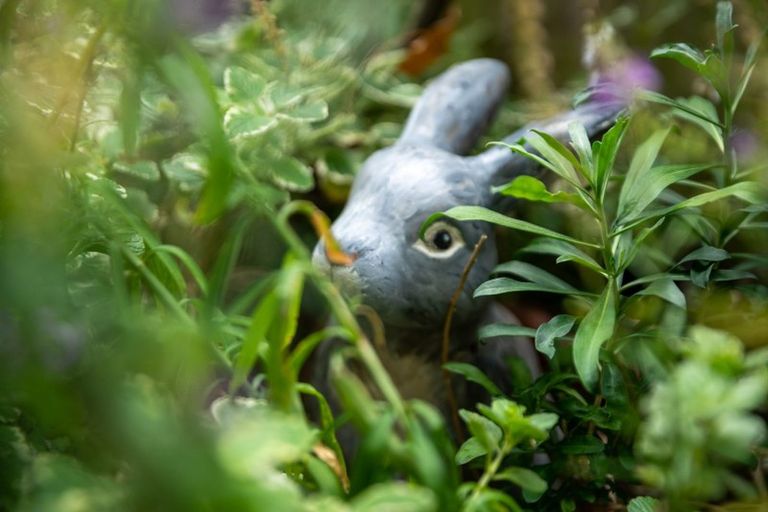 Photo of property in 31/25 Tacy Street, Kilbirnie, Wellington, 6022