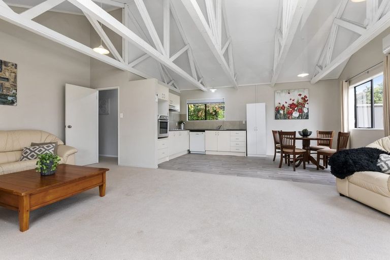 Photo of property in 101 Cambridge Road, Bethlehem, Tauranga, 3110