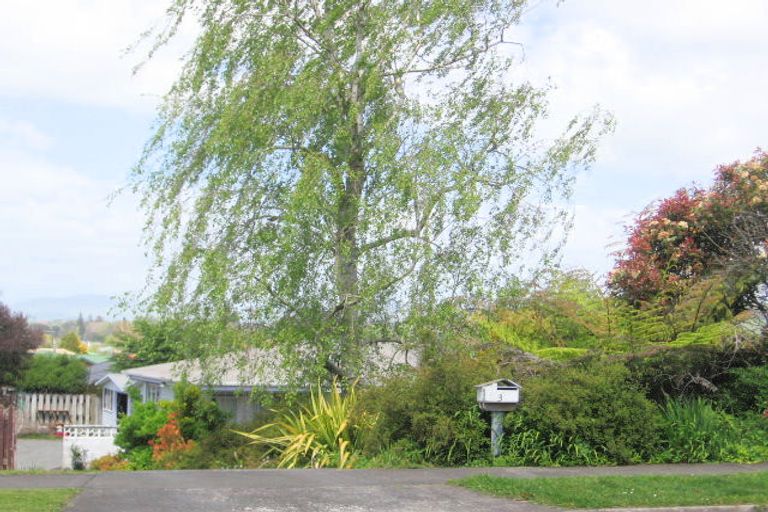 Photo of property in 3 Terrace Avenue, Morrinsville, 3300