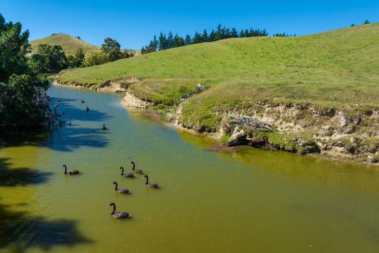 Photo of property in 363 Caseys Road, Lake Grassmere, Seddon, 7285