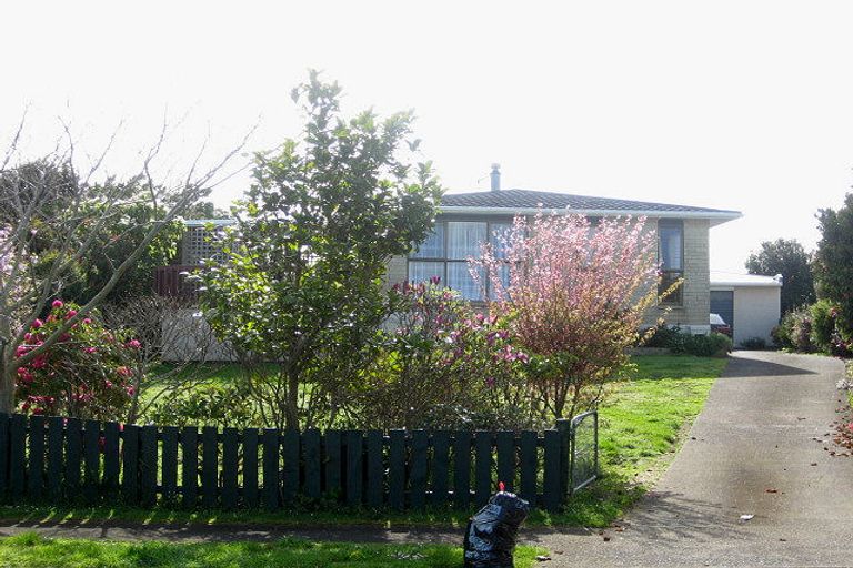 Photo of property in 38 Ihaia Street, Waitara, 4320