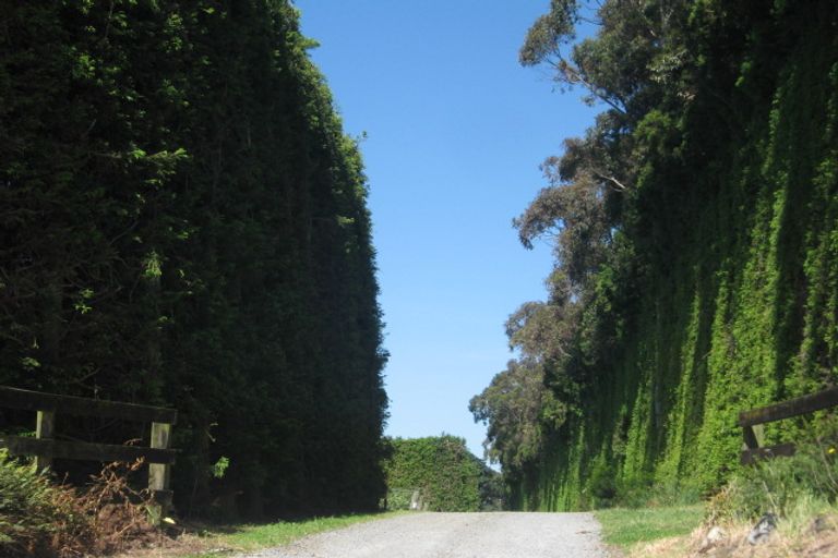 Photo of property in 401c Youngson Road, Whakamarama, Tauranga, 3179