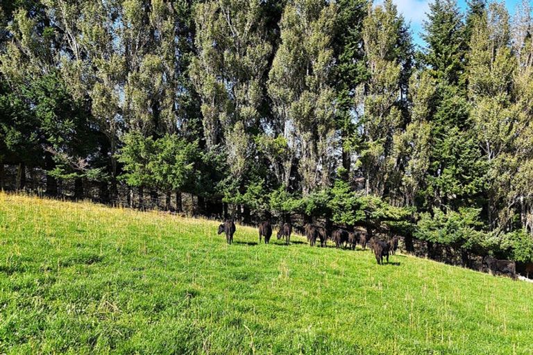 Photo of property in 126 Ridgedale Road, 9672