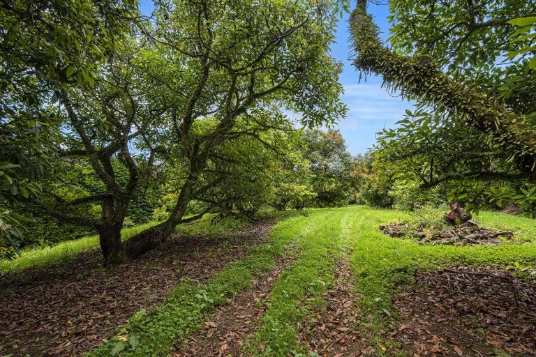 Photo of property in 161 Newton Road, Maungatapere, Whangarei, 0170