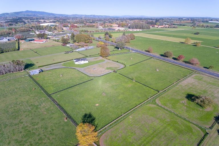 Photo of property in 1659 Cambridge Road, Cambridge, Hamilton, 3283