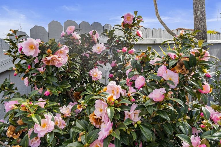Photo of property in 108 Lakeside Drive, Orewa, 0931