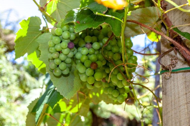 Photo of property in 2 Oxford Terrace, Coromandel, 3506