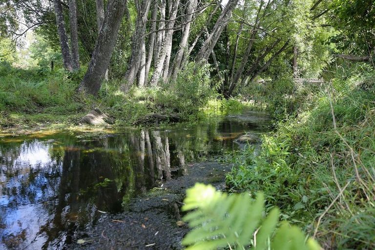 Photo of property in 538 Waiwhero Road, Ngatimoti, Upper Moutere, 7175