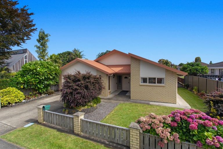 Photo of property in 34 James Street, Whakatane, 3120