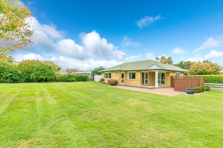 Photo of property in 12 Shadbolt Drive, Leamington, Cambridge, 3432