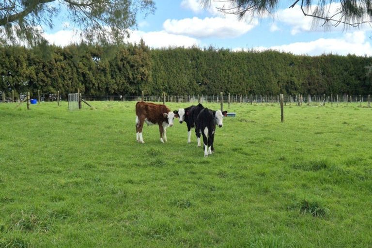 Photo of property in 1128a Omanawa Road, Omanawa, 3171