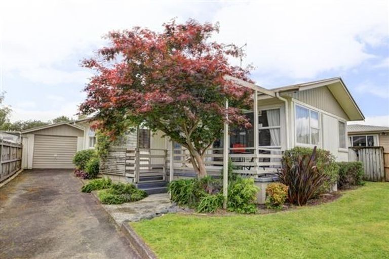 Photo of property in 24 Bellmont Avenue, Chartwell, Hamilton, 3210