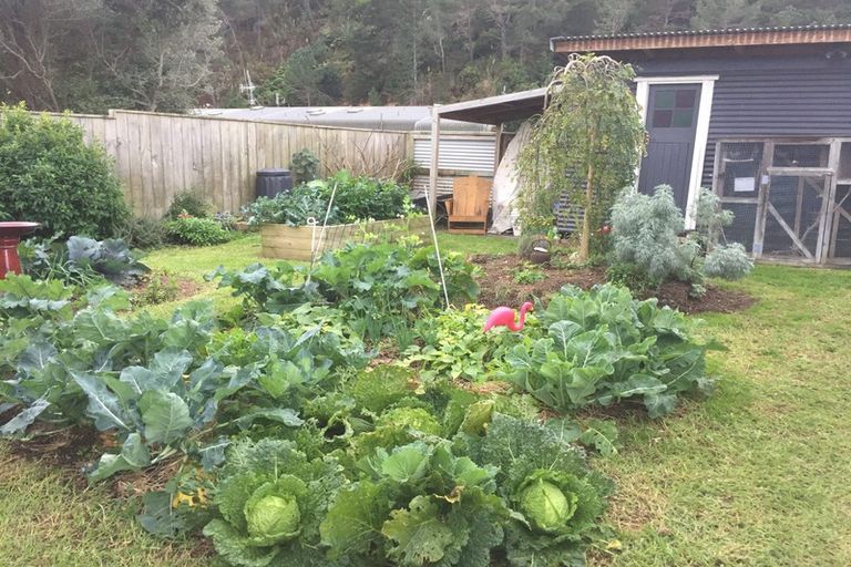 Photo of property in 107 Coromandel Street, Thames, 3500