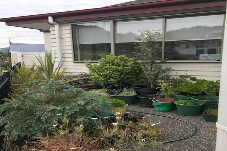 Photo of property in 65 Royal Terrace, Dunedin Central, Dunedin, 9016
