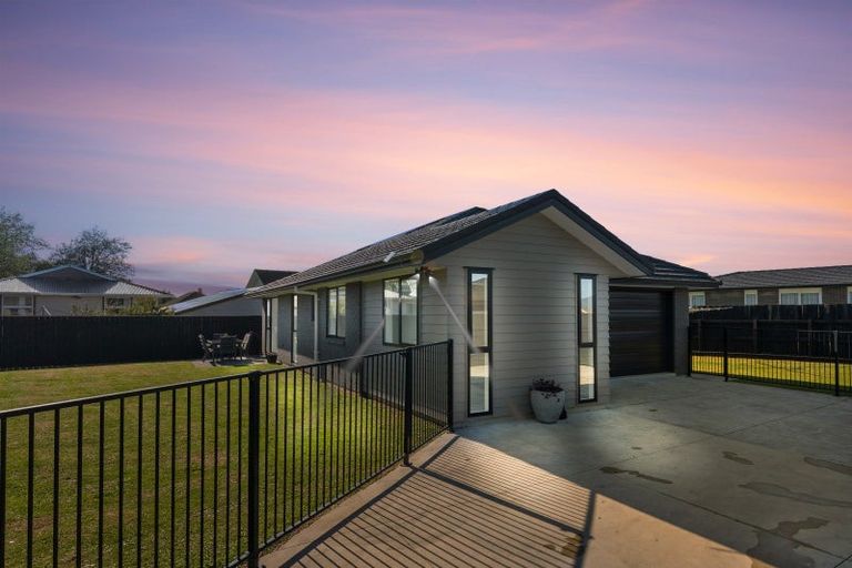 Photo of property in 68 Hinemoa Street, Levin, 5510
